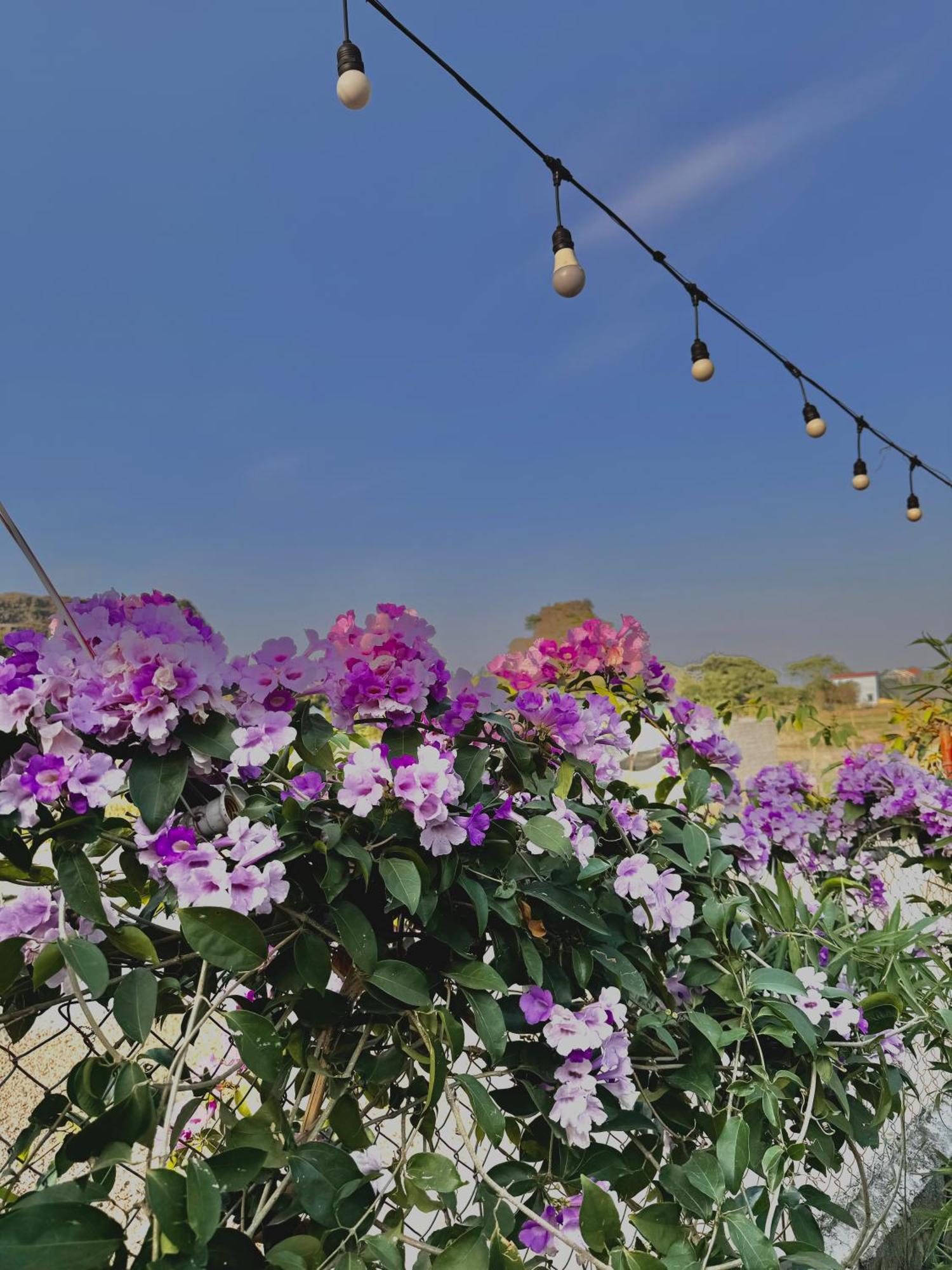 מלון נין בין Rosa Garden מראה חיצוני תמונה